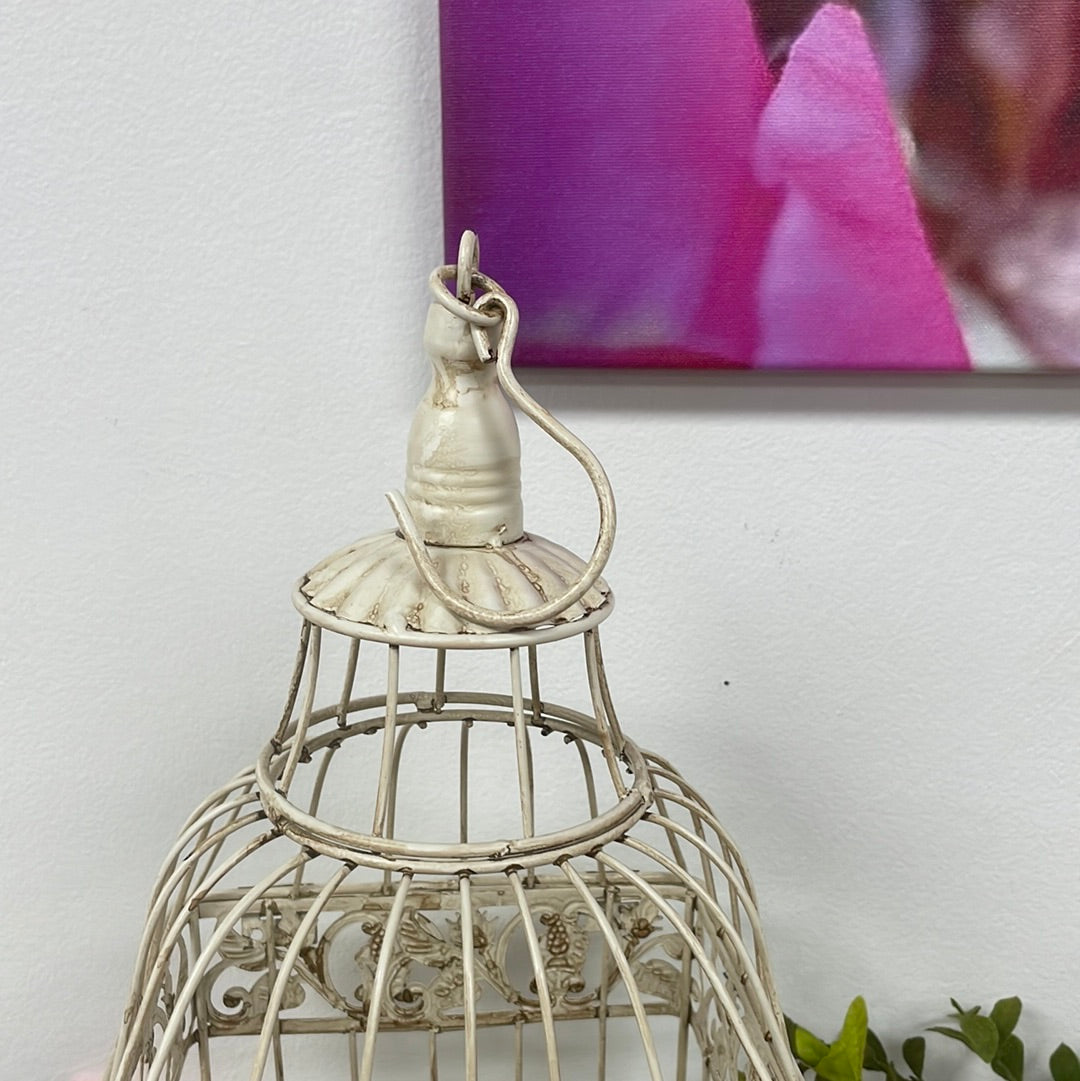 Nested Birdcage SM