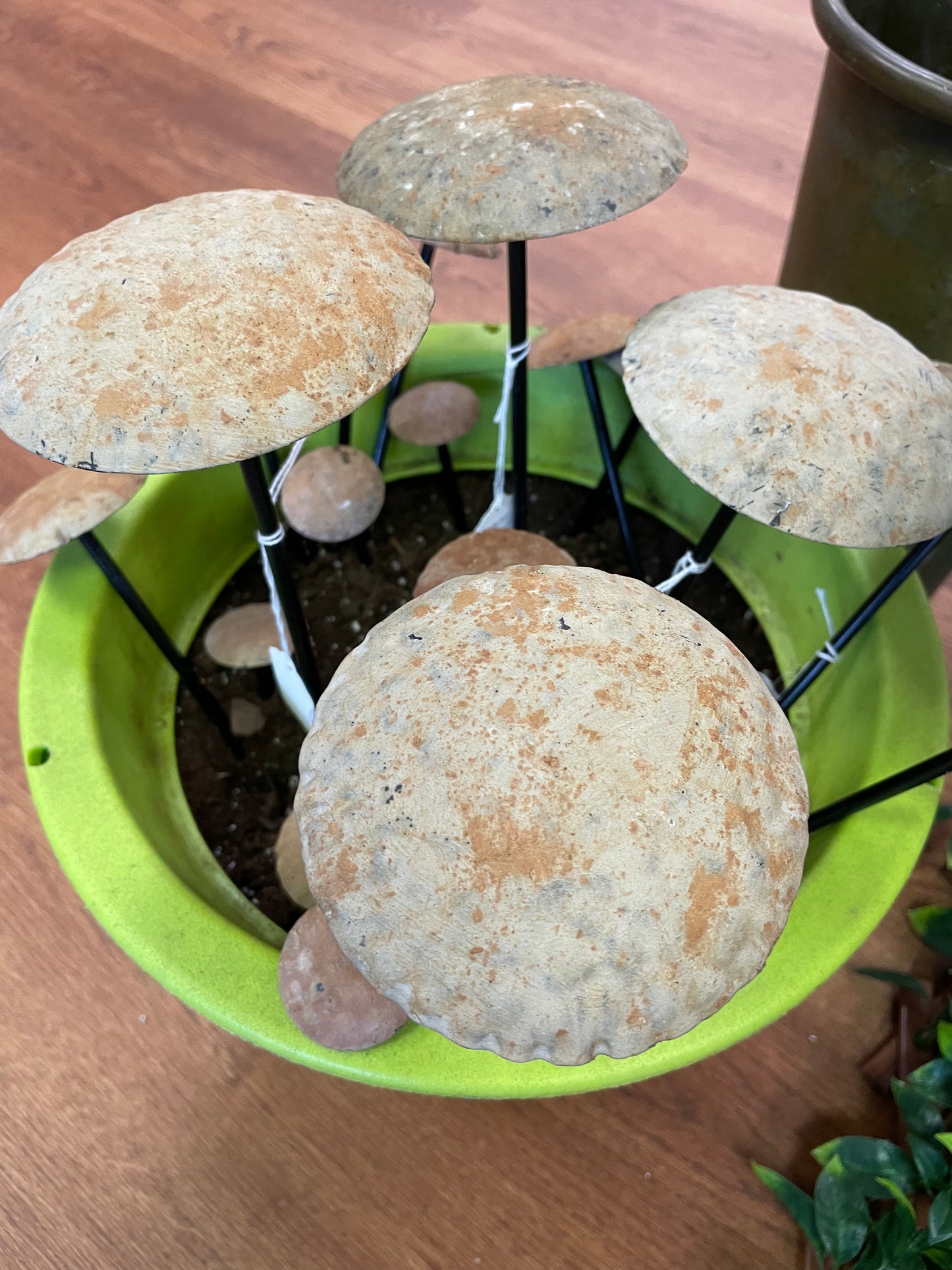 Set of 3 Mushrooms -