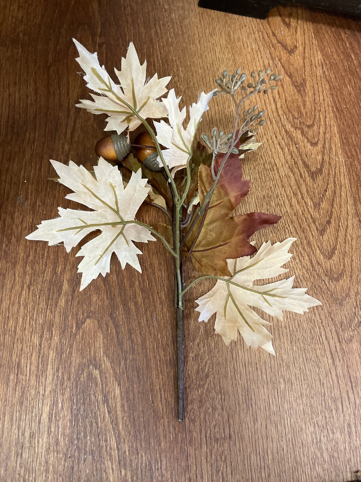 Acorn Fall Stem