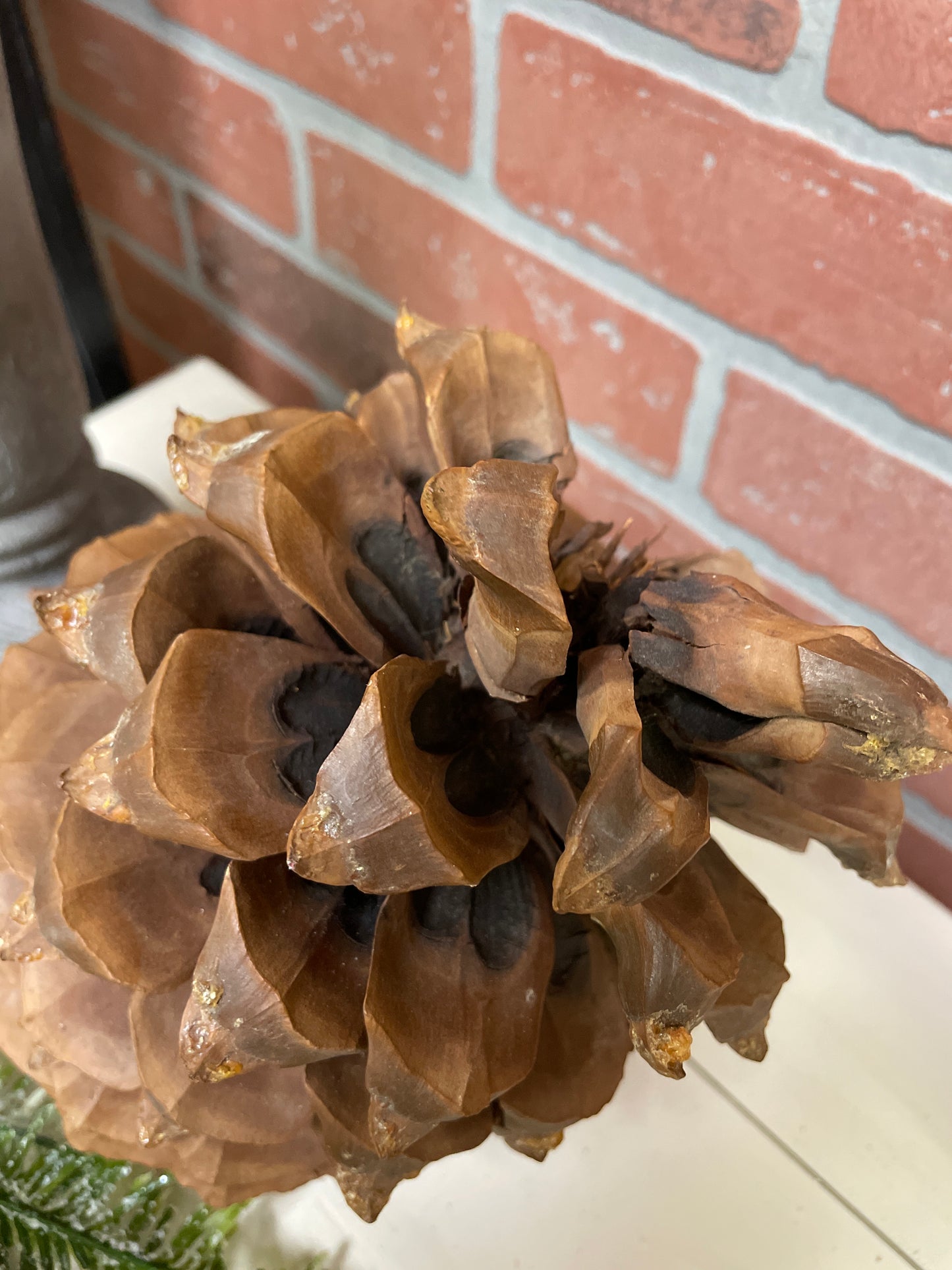 Coulter Pinecone