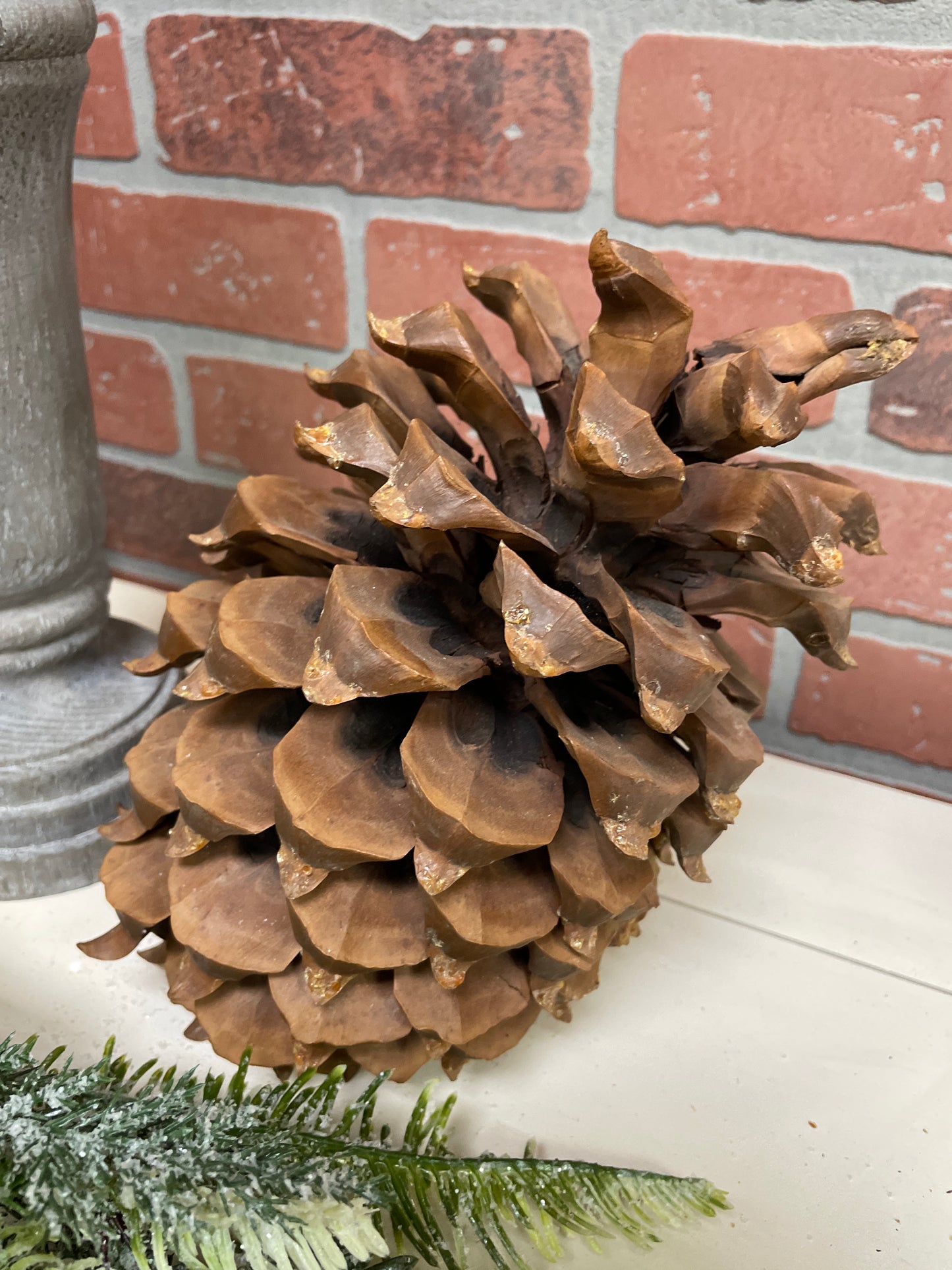 Coulter Pinecone