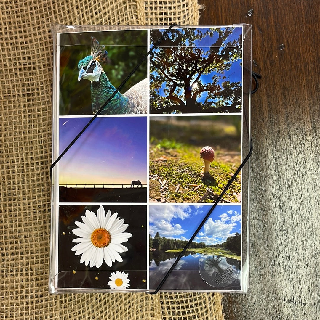 Boxed Card Set - Variety