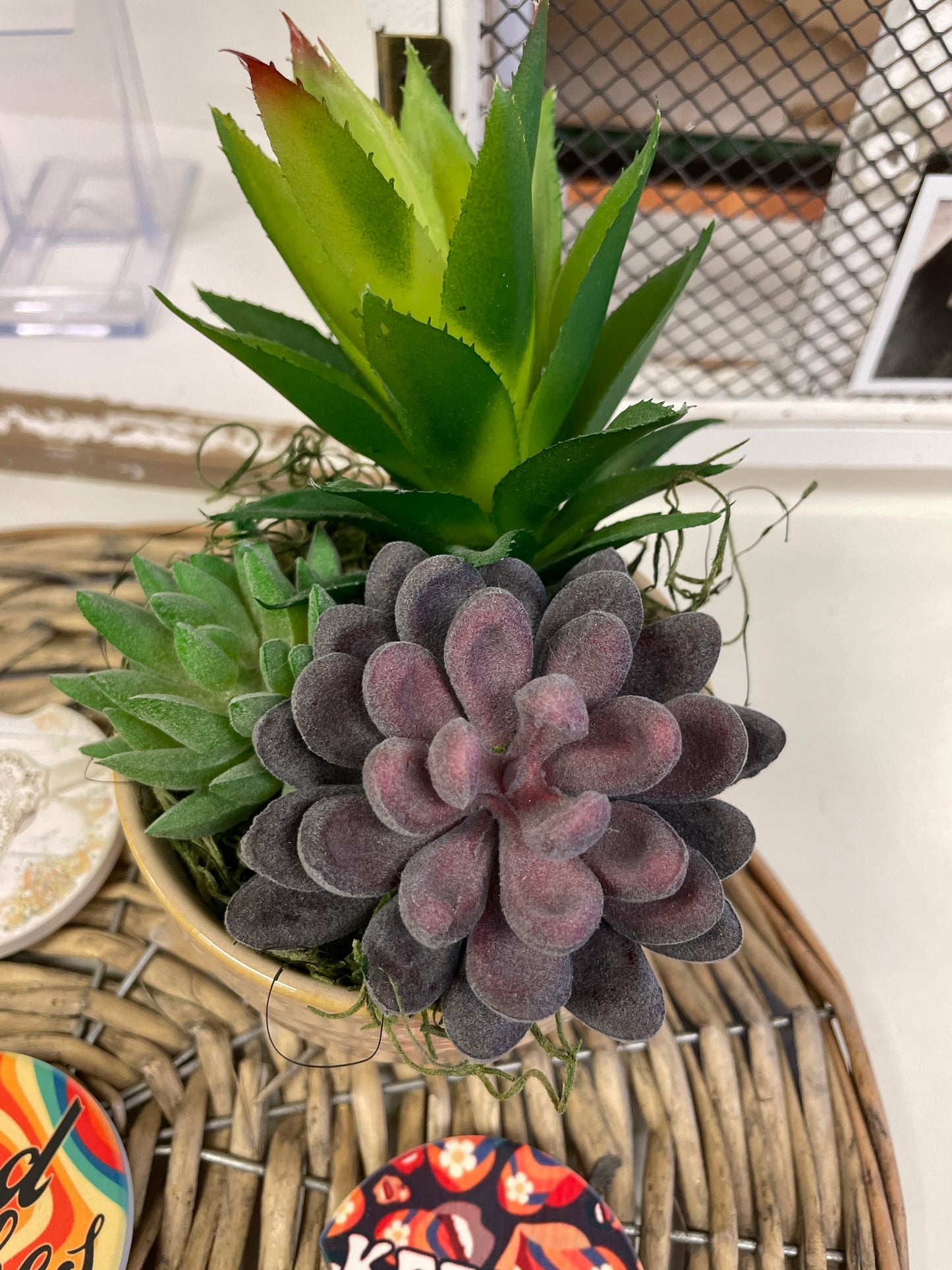 Faux Succulments in Ceramic