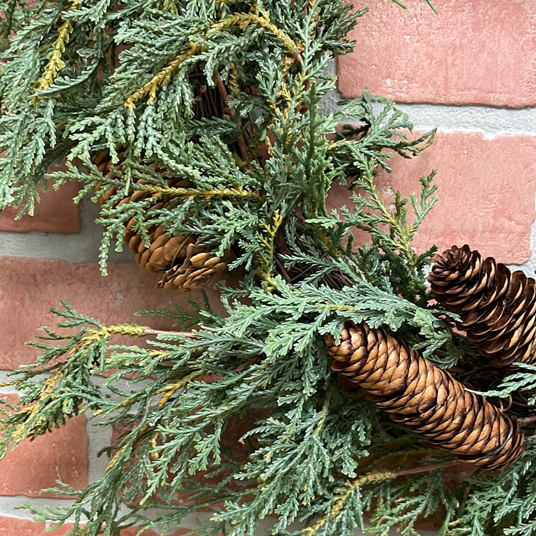 Pine Wreath with grapevine and pinecones