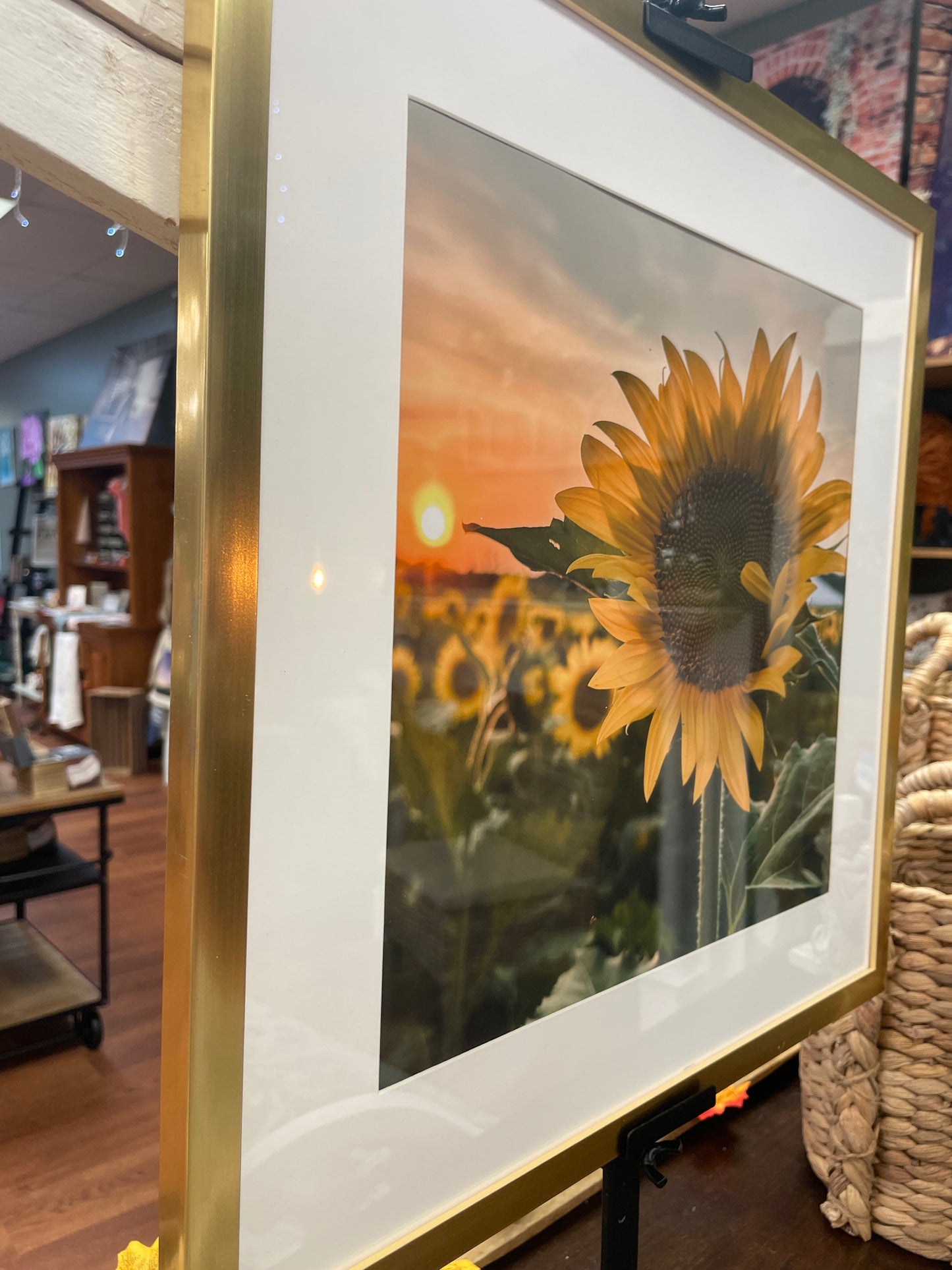 Sunflower in Glass Frame