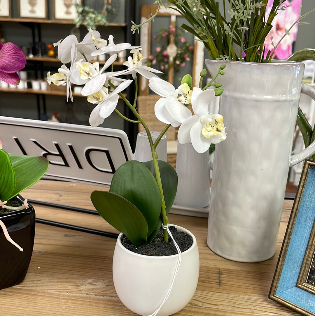 Real Touch Orchid Sm White Pot