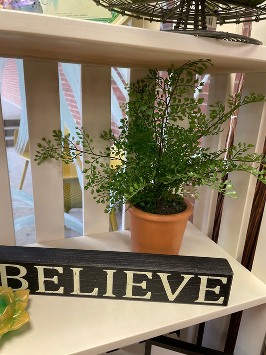 Maidenhaire Fern in TerraCotta
