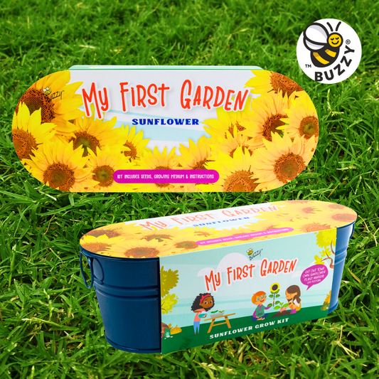 My First Garden Painted Windowsill - Sunflower Grow Kit