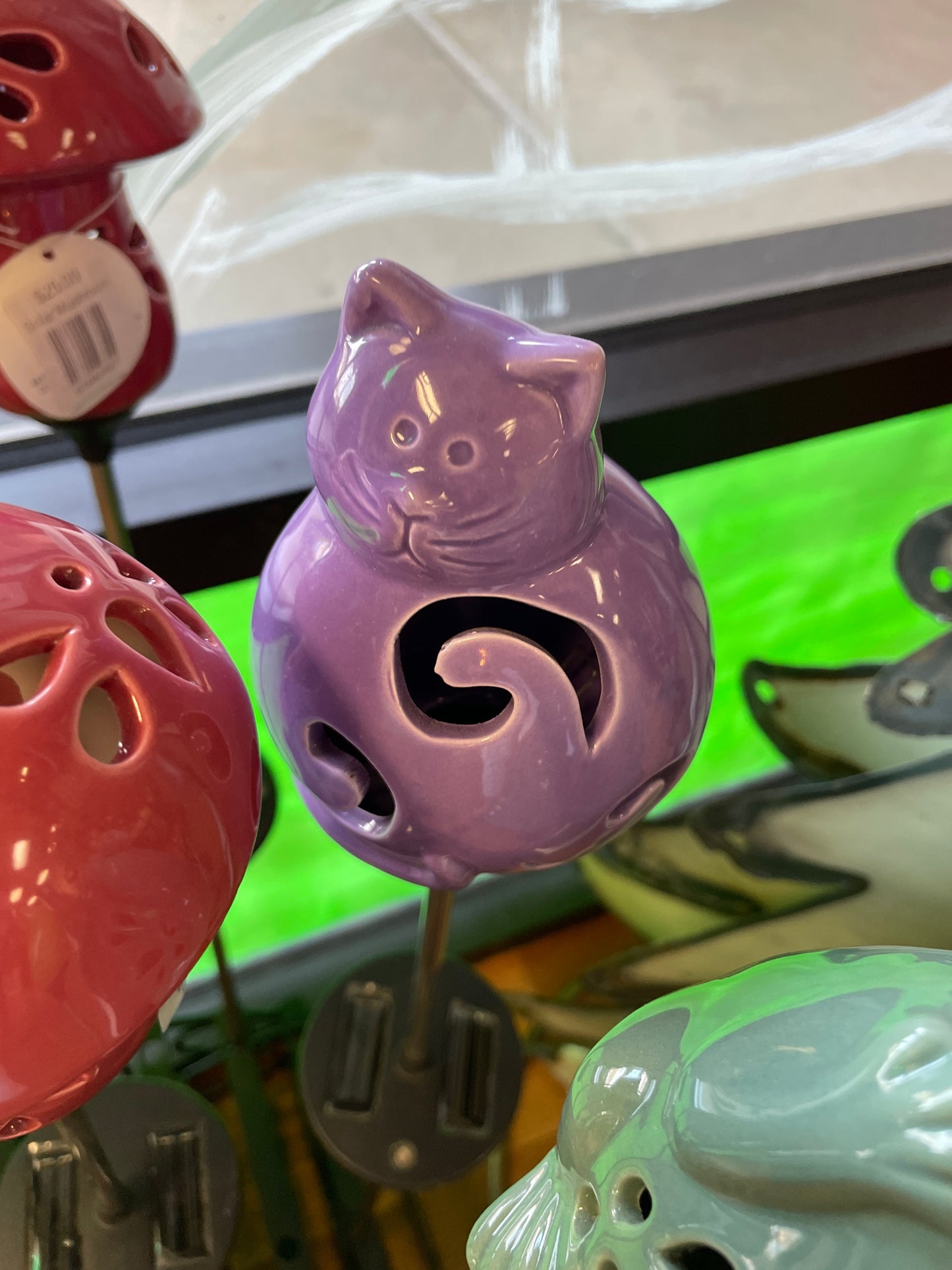Purple Solar Cat