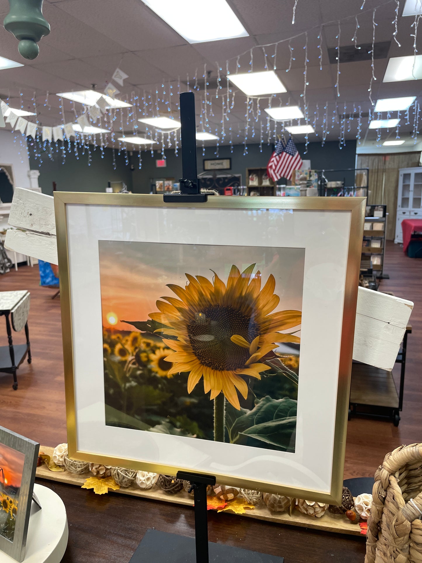 Sunflower in Glass Frame