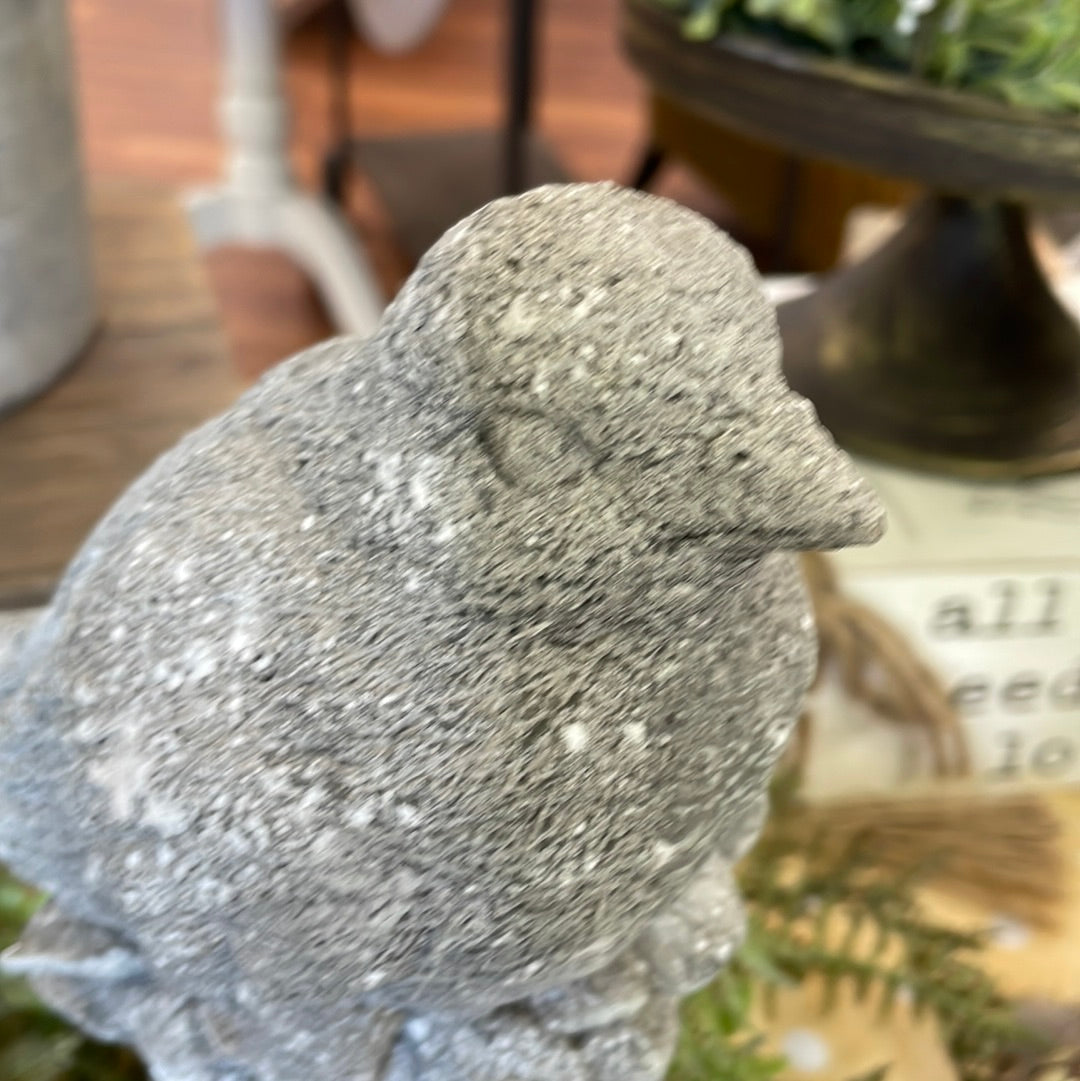Cement Like Bird Statue
