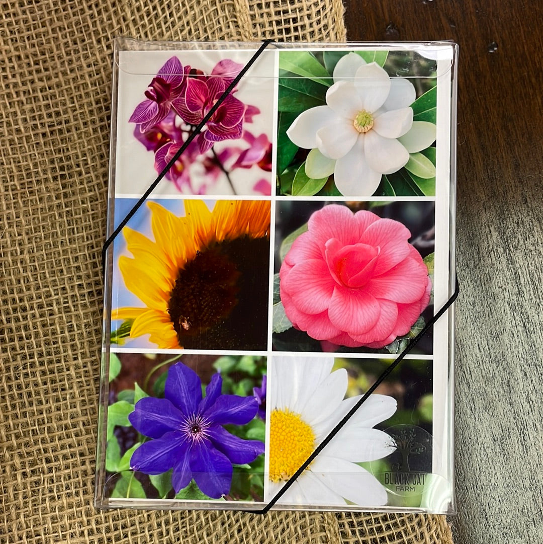 Boxed Card Set - Flower