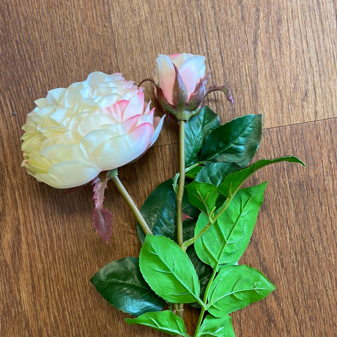 Peach Rose Stem