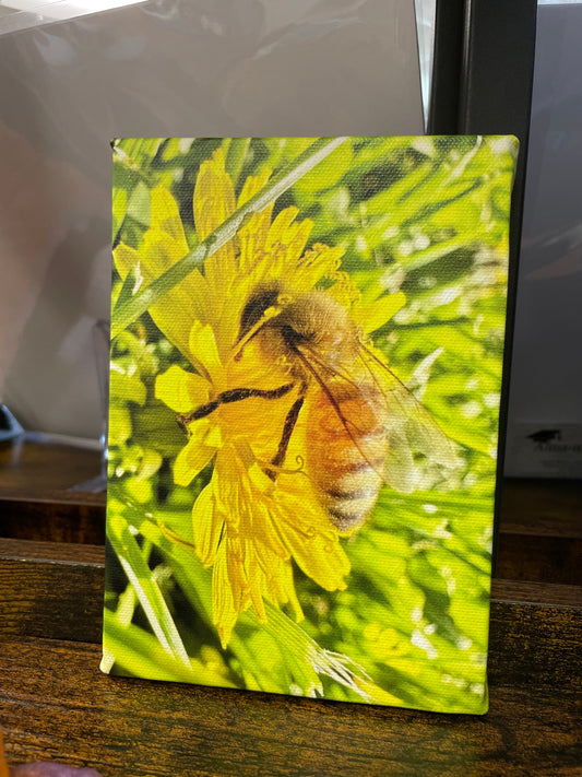 Mini Canvas - Yellow Daisy w/ Bee