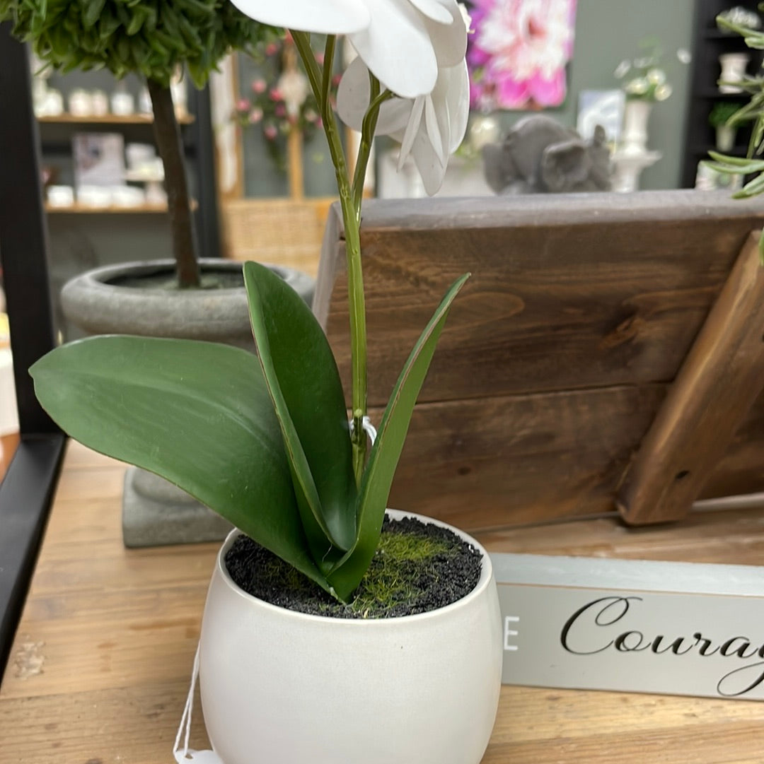 Real Touch Orchid Sm White Pot