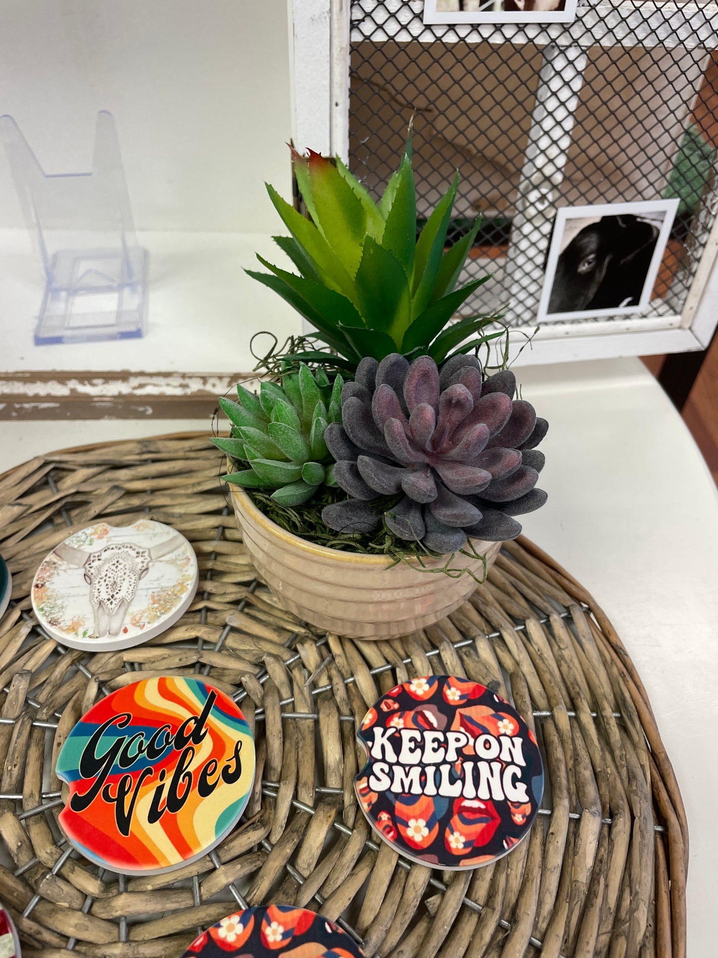 Faux Succulments in Ceramic