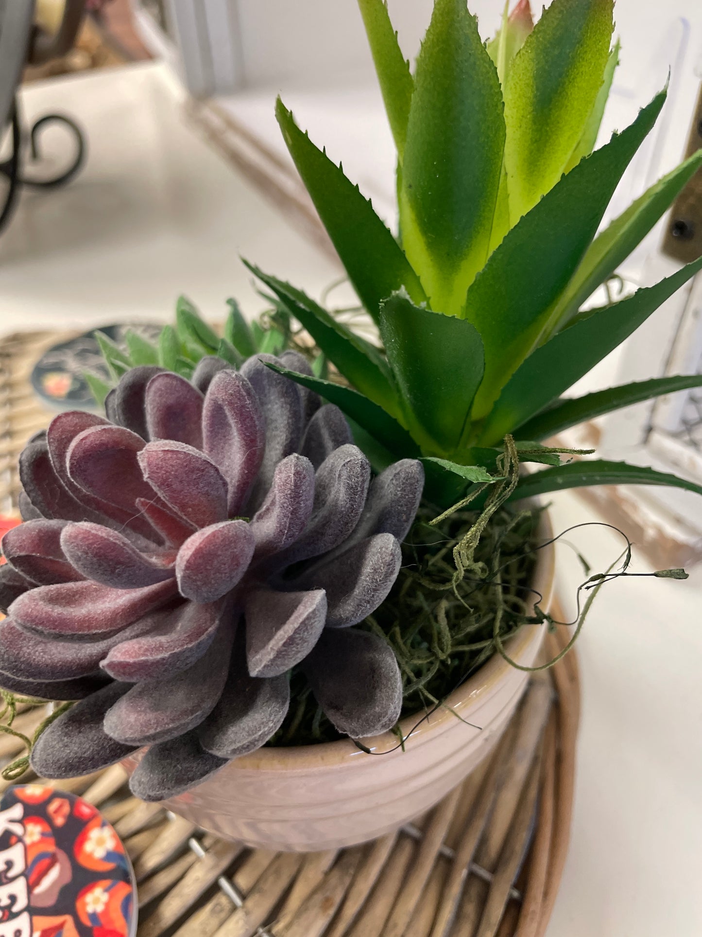 Faux Succulments in Ceramic