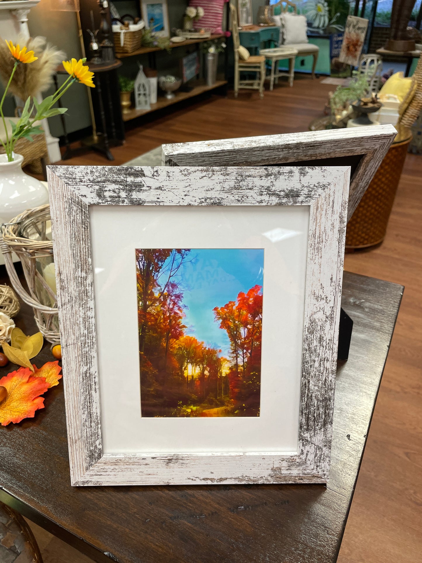 Fall  Painted Trees Art