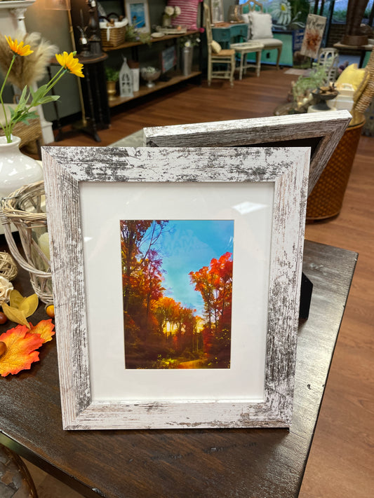 Fall  Painted Trees Art