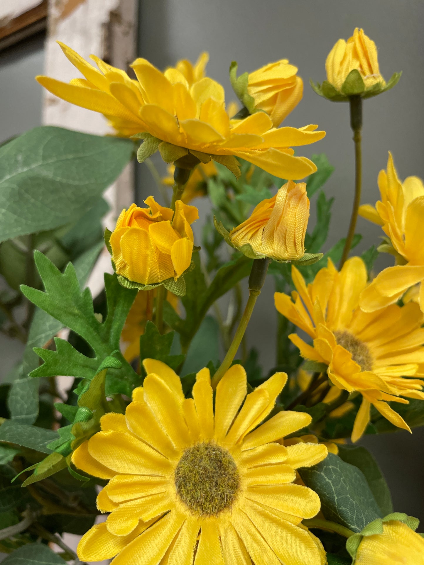Yellow Daisy Stem
