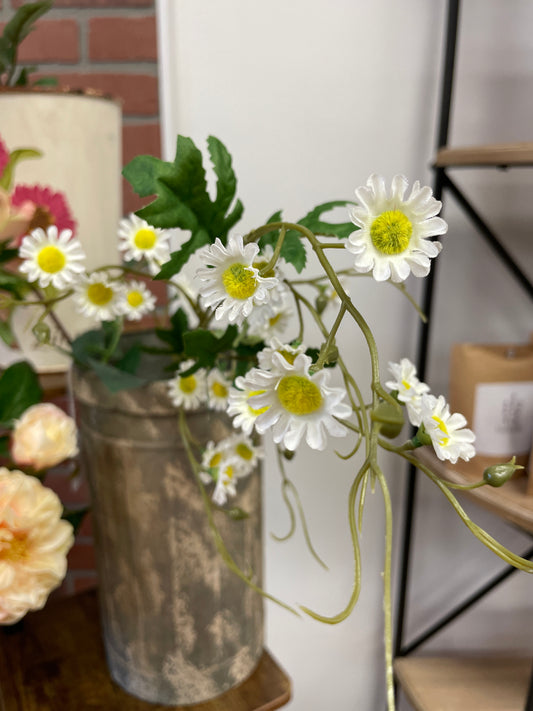 Daisy Long Stem