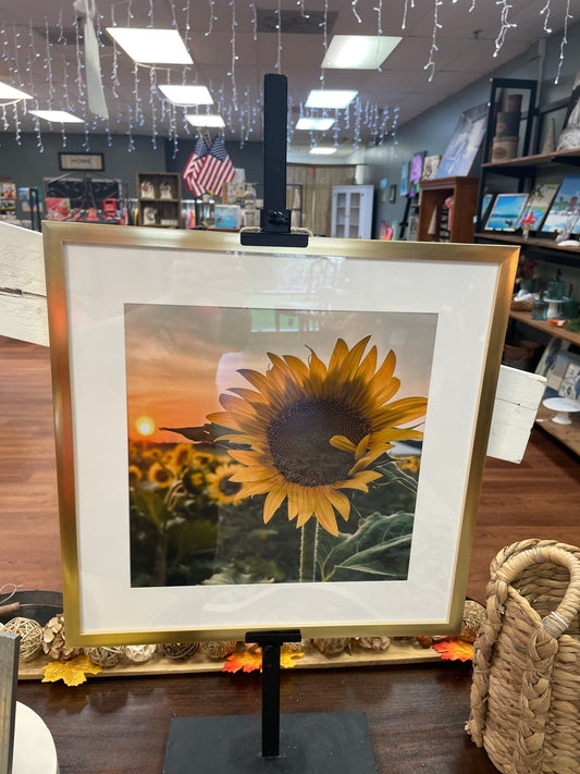 Sunflower in Glass Frame