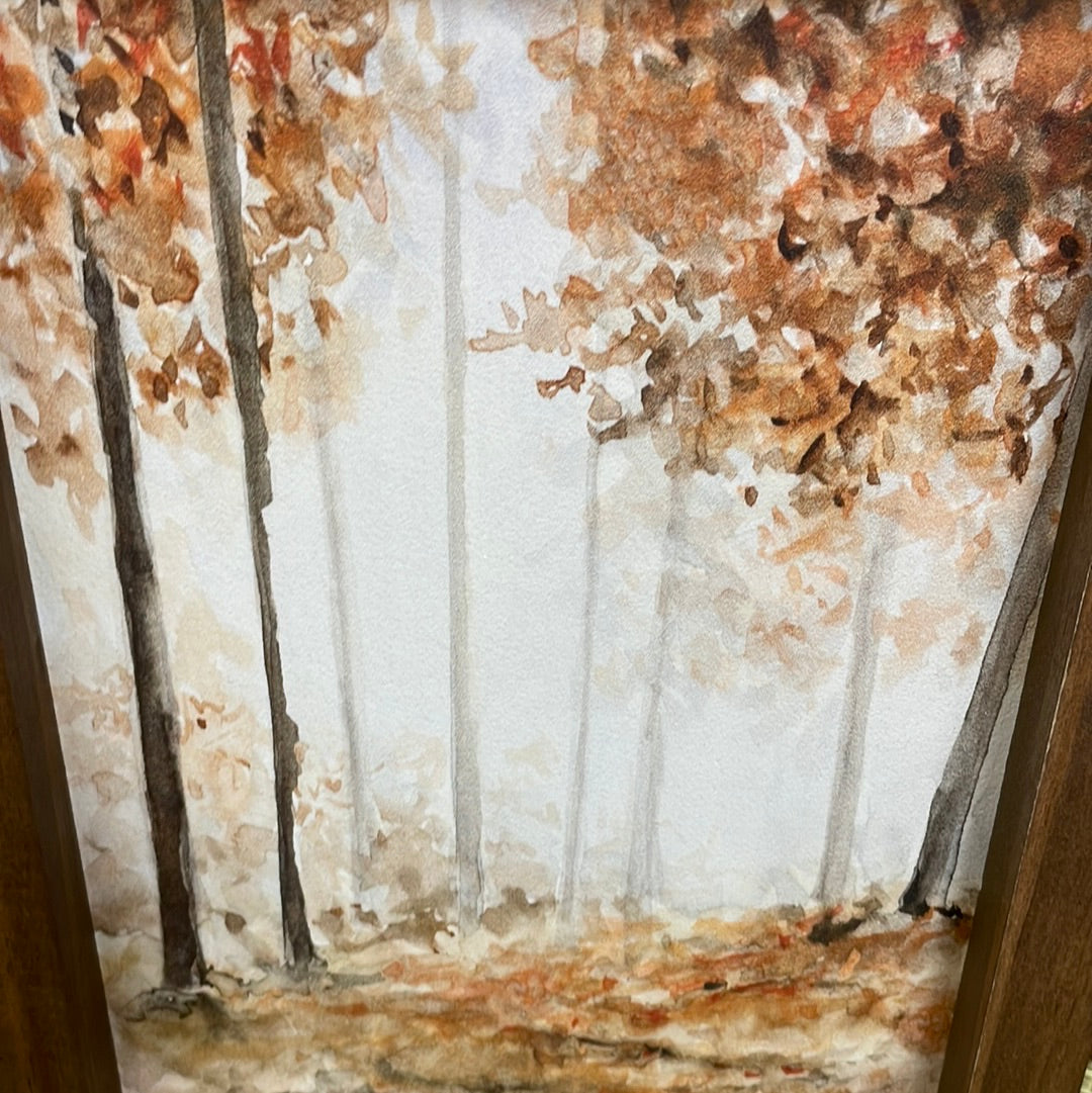 Autumn Forest