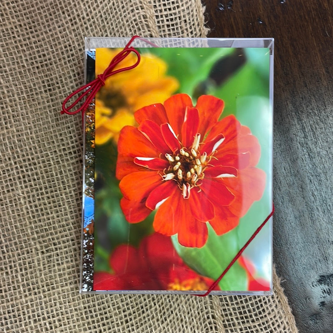 Boxed Card Set - Fall