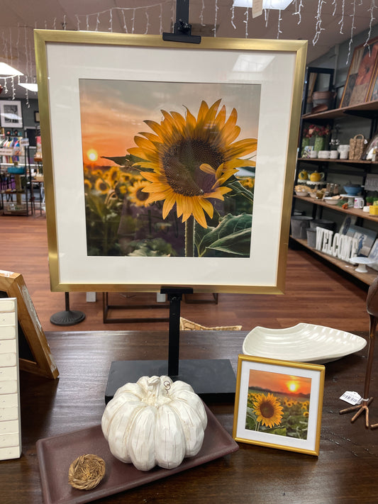 Sm Heirloom Pumpkin
