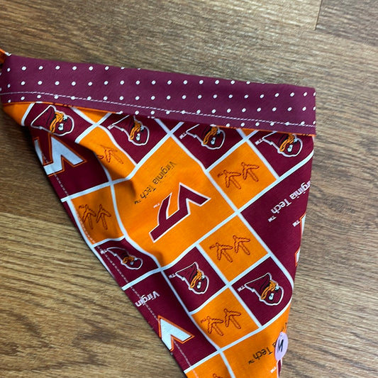 Bandana VT (college)