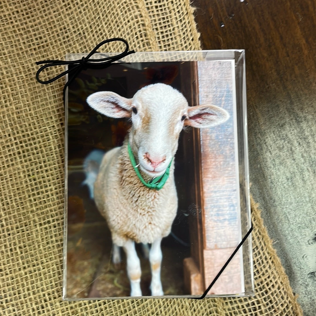 Boxed Card Set - Farm