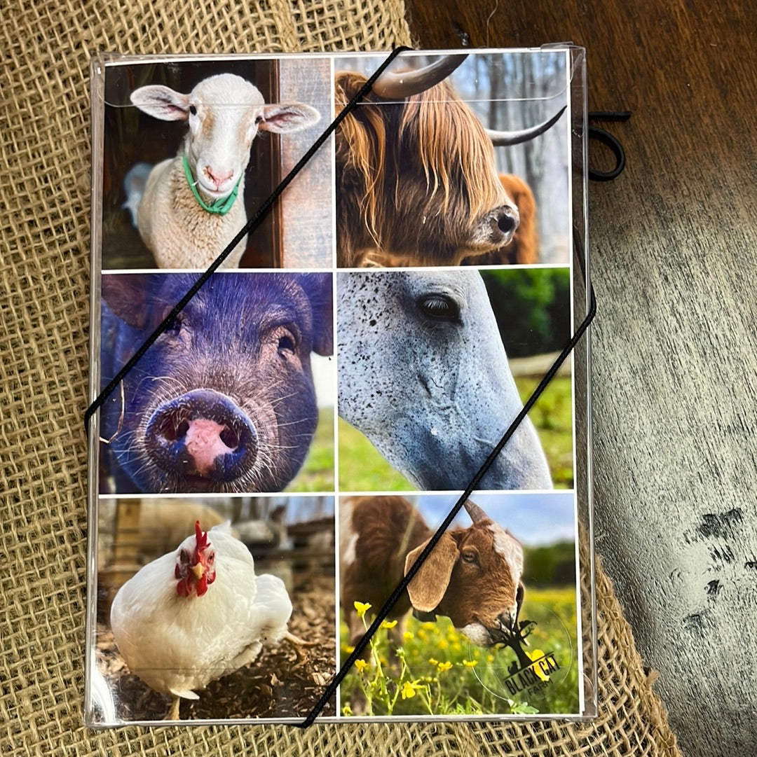 Boxed Card Set - Farm