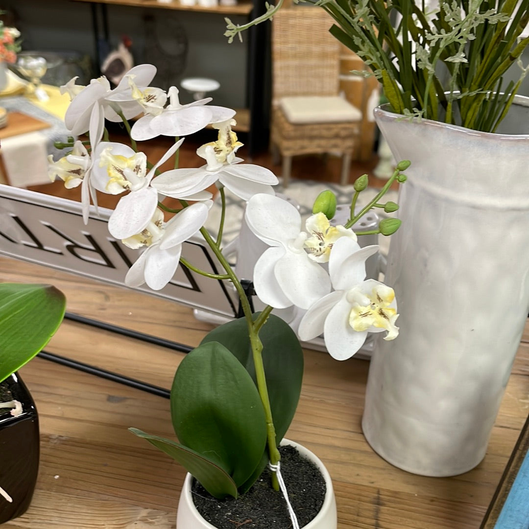 Real Touch Orchid Sm White Pot