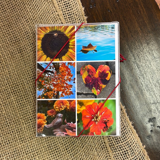 Boxed Card Set - Fall
