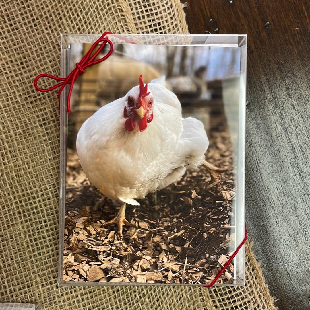 Boxed Card Set - Farm