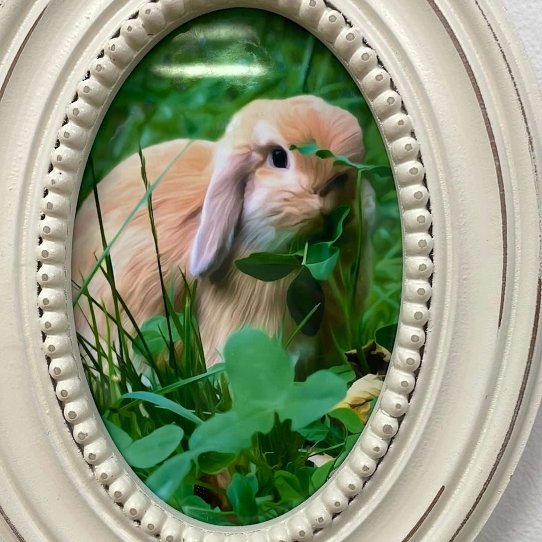 Honey the Bunny in Hanging Oval Frame