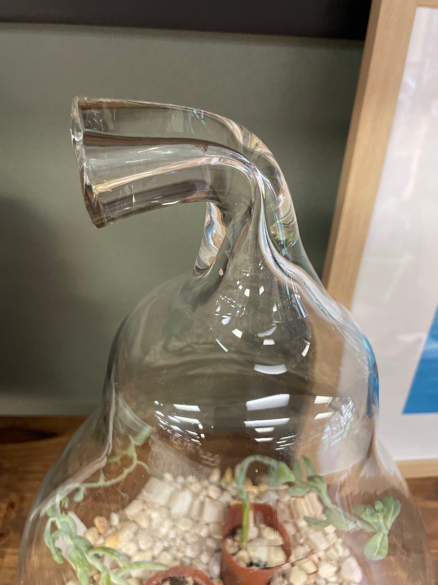 Glass Pear Terrarium
