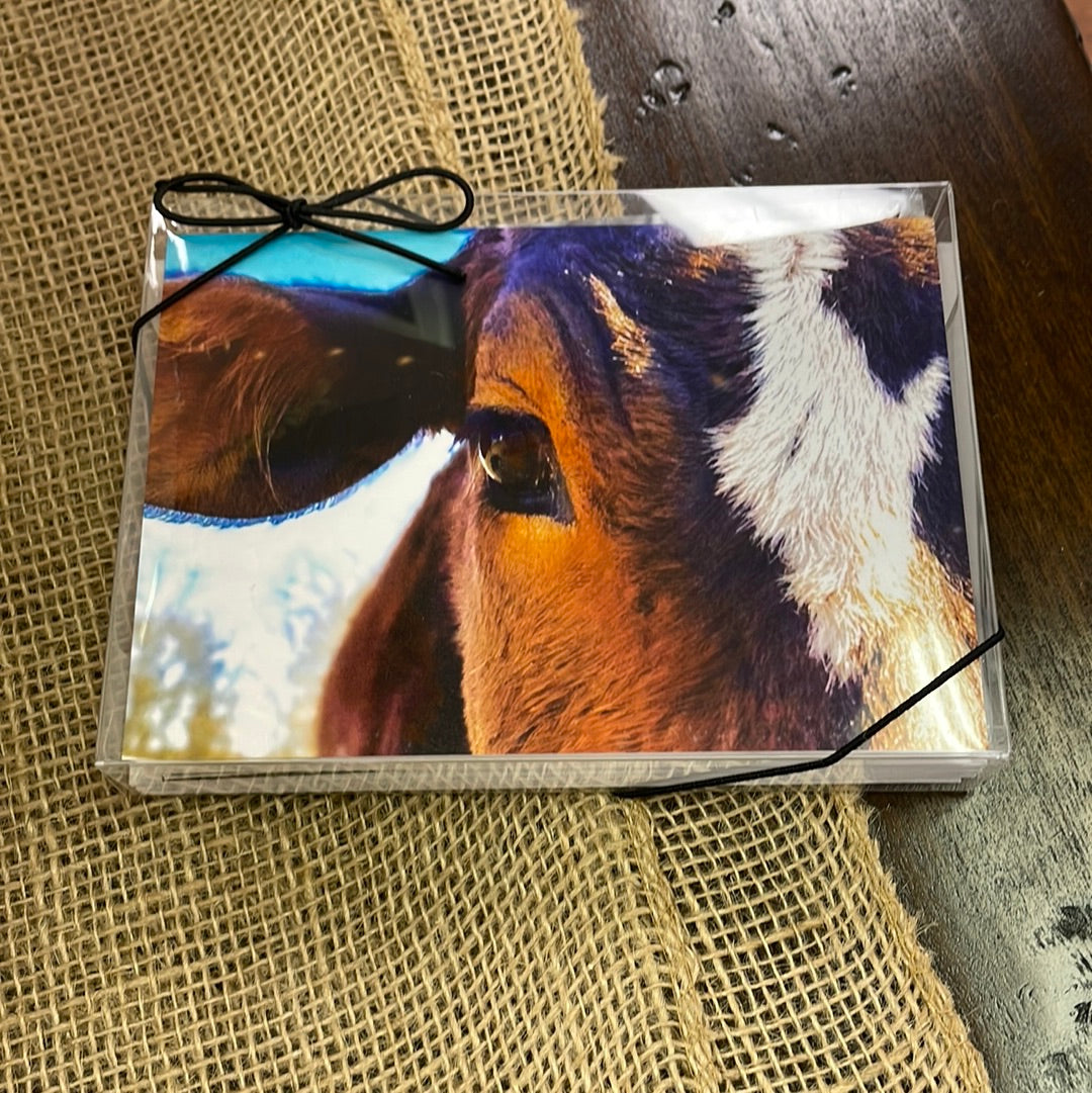 Boxed Card Set - Cows