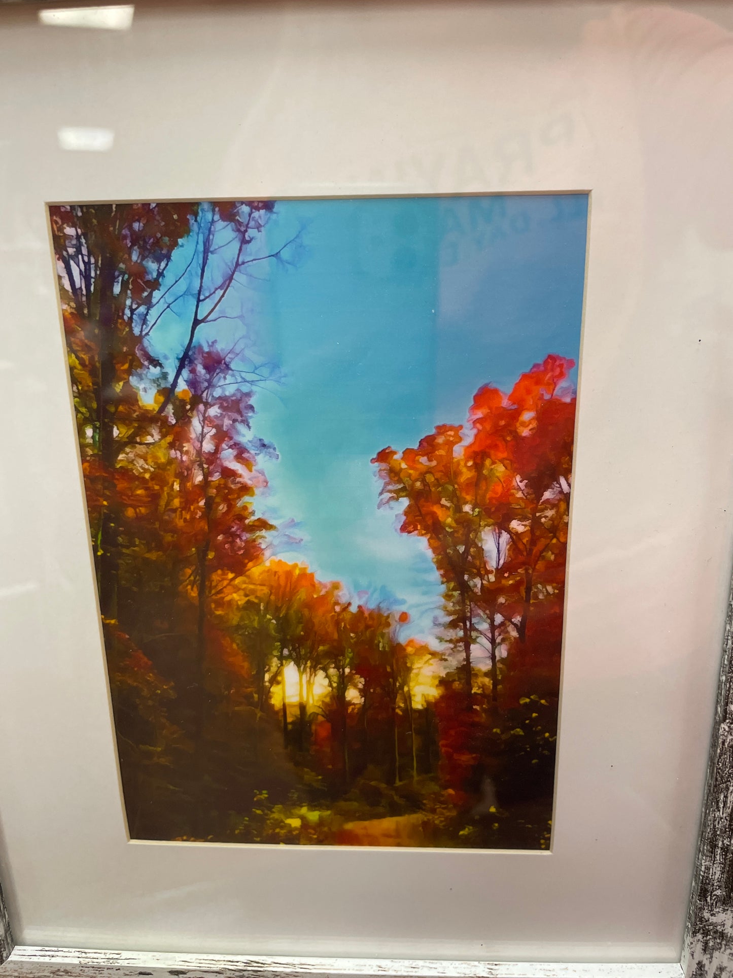 Fall  Painted Trees Art