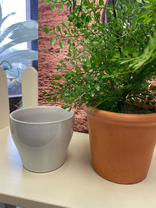 White Small Flower Pot