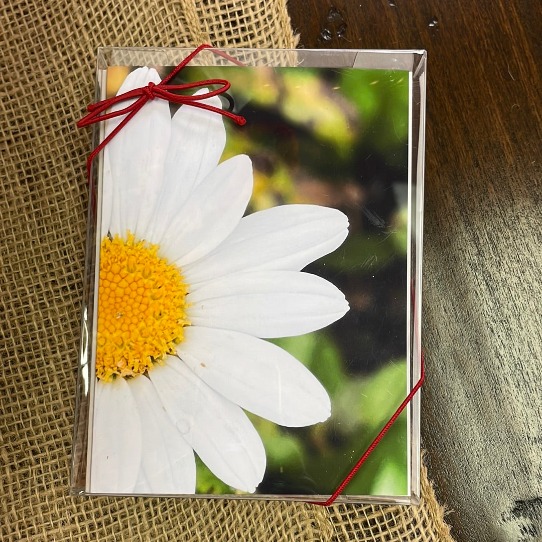 Boxed Card Set - Flower