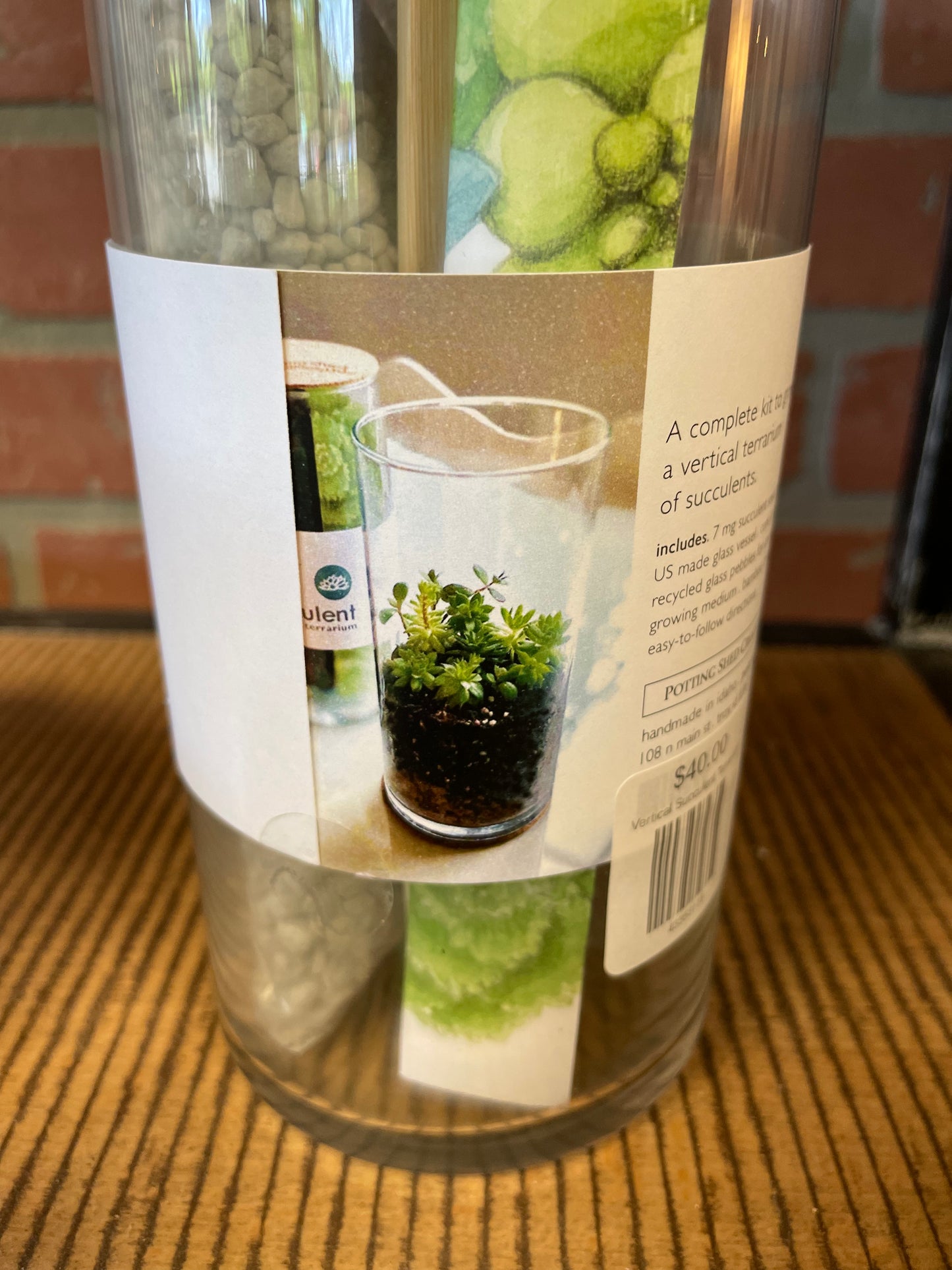 Vertical Succulent Terrarium