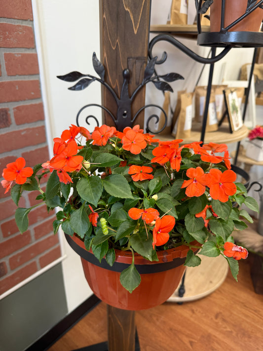 Wrought Iron Planter Hanger