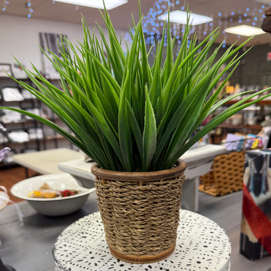 Faux Plant in Basket