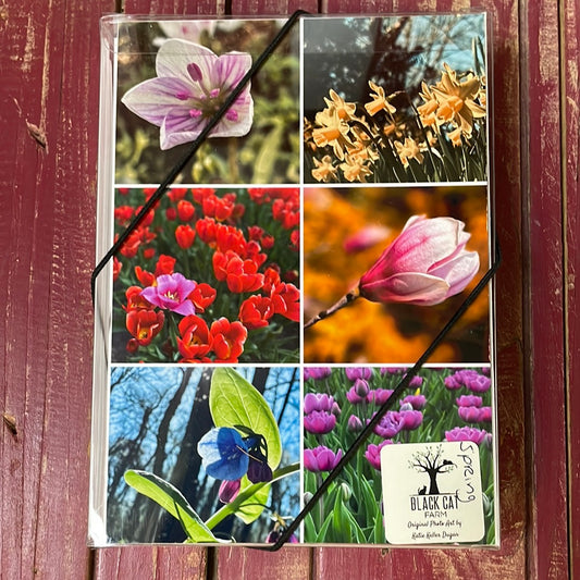 Boxed Card Set - Spring