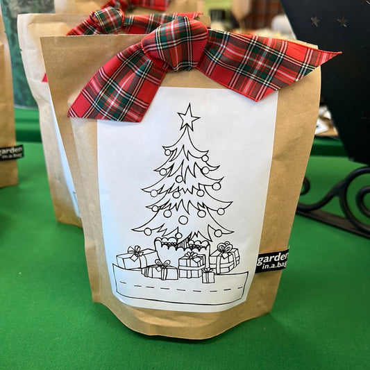 Garden in a Bag - Kids Christmas Tree