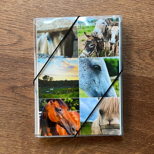 Boxed Card Set - Horses