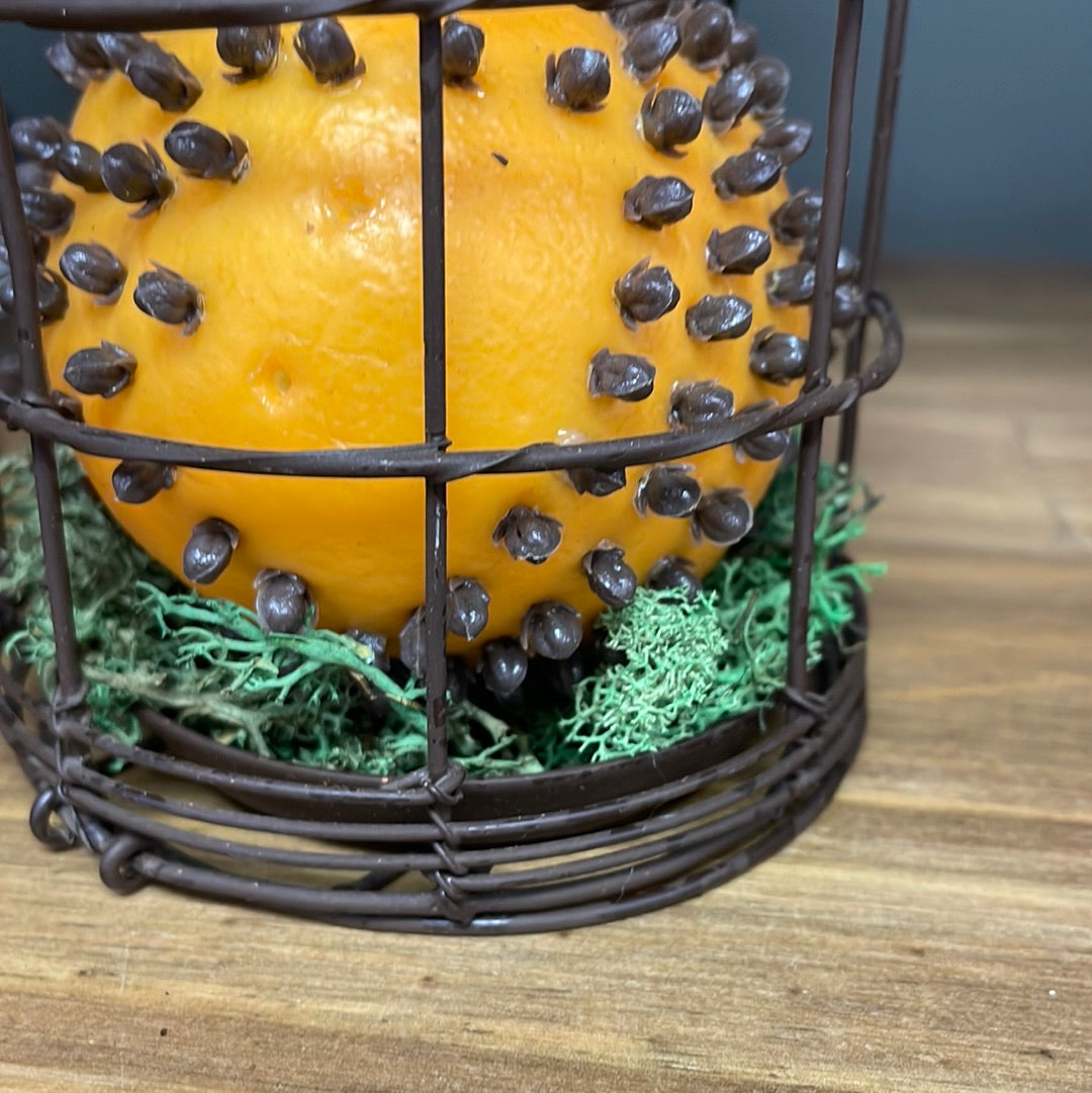 Clove and Citrus in Wire Basket