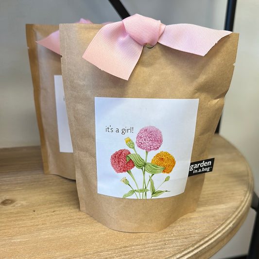 Garden in a Bag - It's A Girl