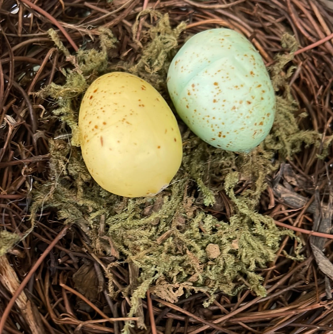 Nest Yellow/Blue Eggs